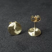 Goldohrstecker Scheibe