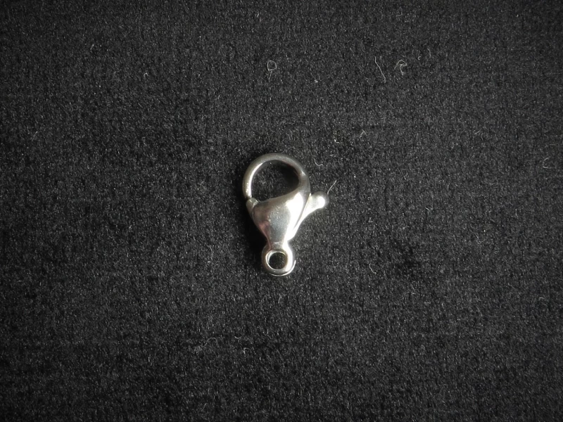 Karabiner Chirurgenstahl