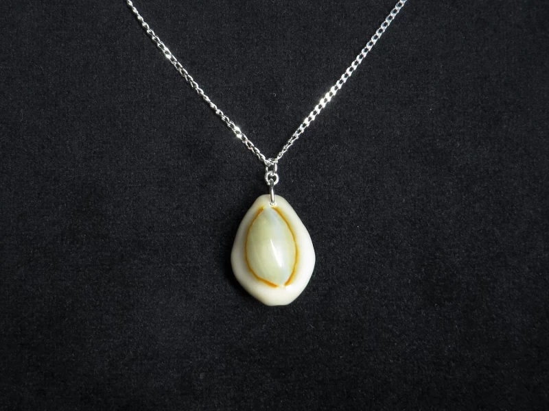 Kauri Muschelkette