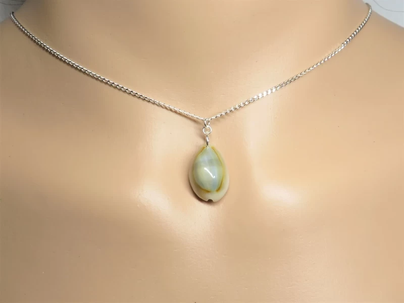 Kauri Muschelkette