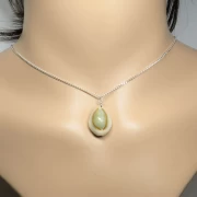 Kauri Muschelkette