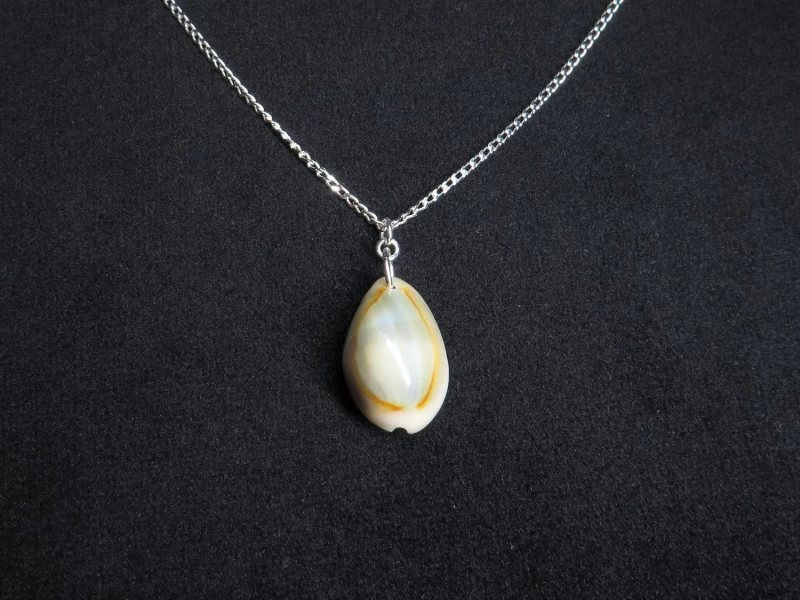 Kauri Muschelkette