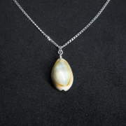 Kauri Muschelkette