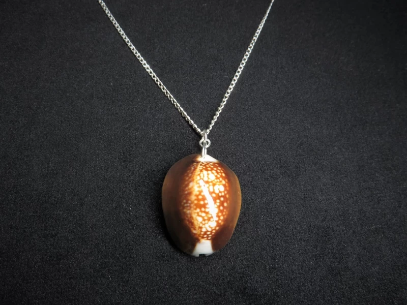 Kette mit Muschelanhänger