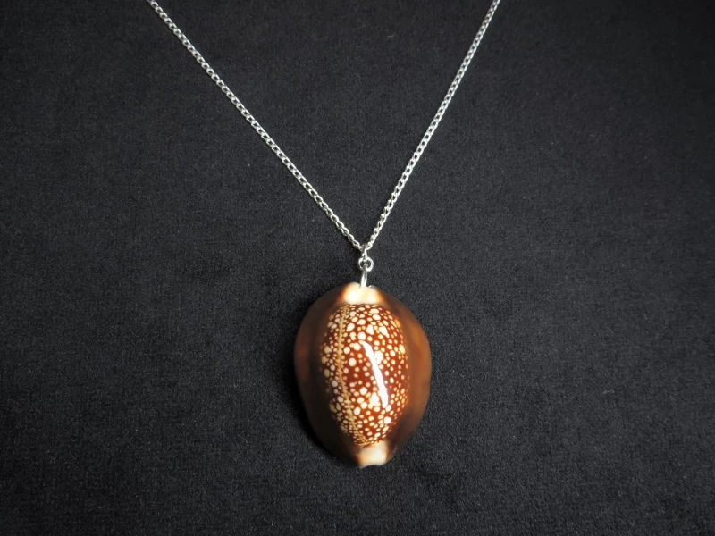 Kette mit Muschelanhänger